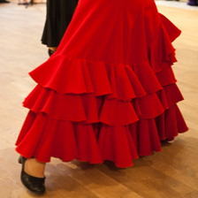 Sommerfest 2011
